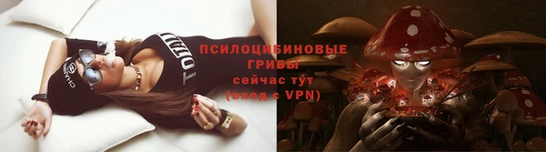 PSILOCYBIN Алзамай