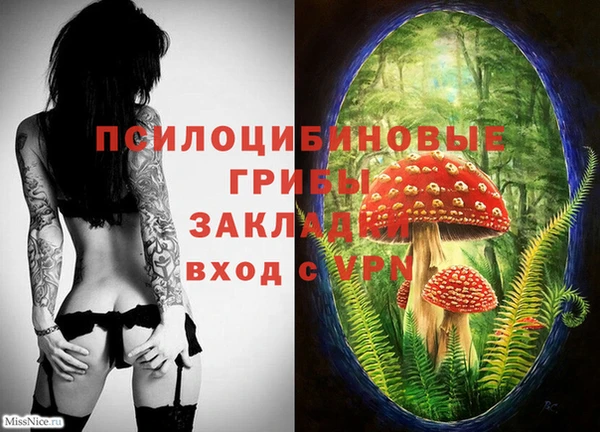 PSILOCYBIN Алзамай