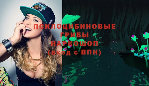 spice Алексин