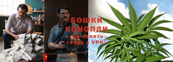 PSILOCYBIN Алзамай