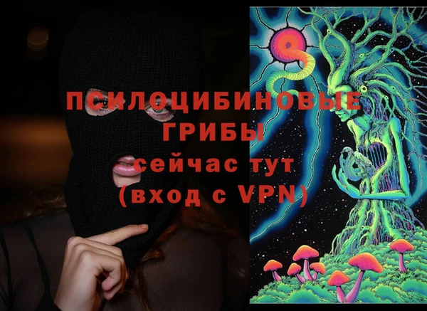 PSILOCYBIN Алзамай