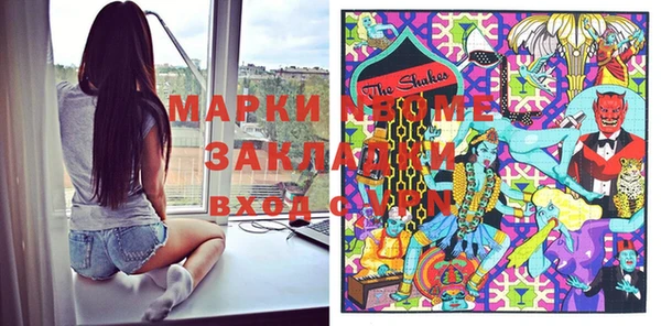 PSILOCYBIN Алзамай